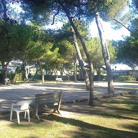 Modele D'exception, 3 Ch, 2 Sdb, 43m2 - Proche Parc Aquatique *