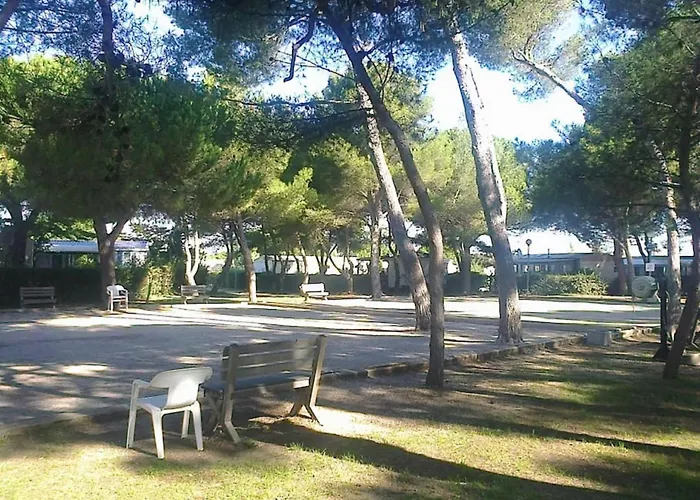 Modele D'exception, 3 Ch, 2 Sdb, 43m2 - Proche Parc Aquatique *